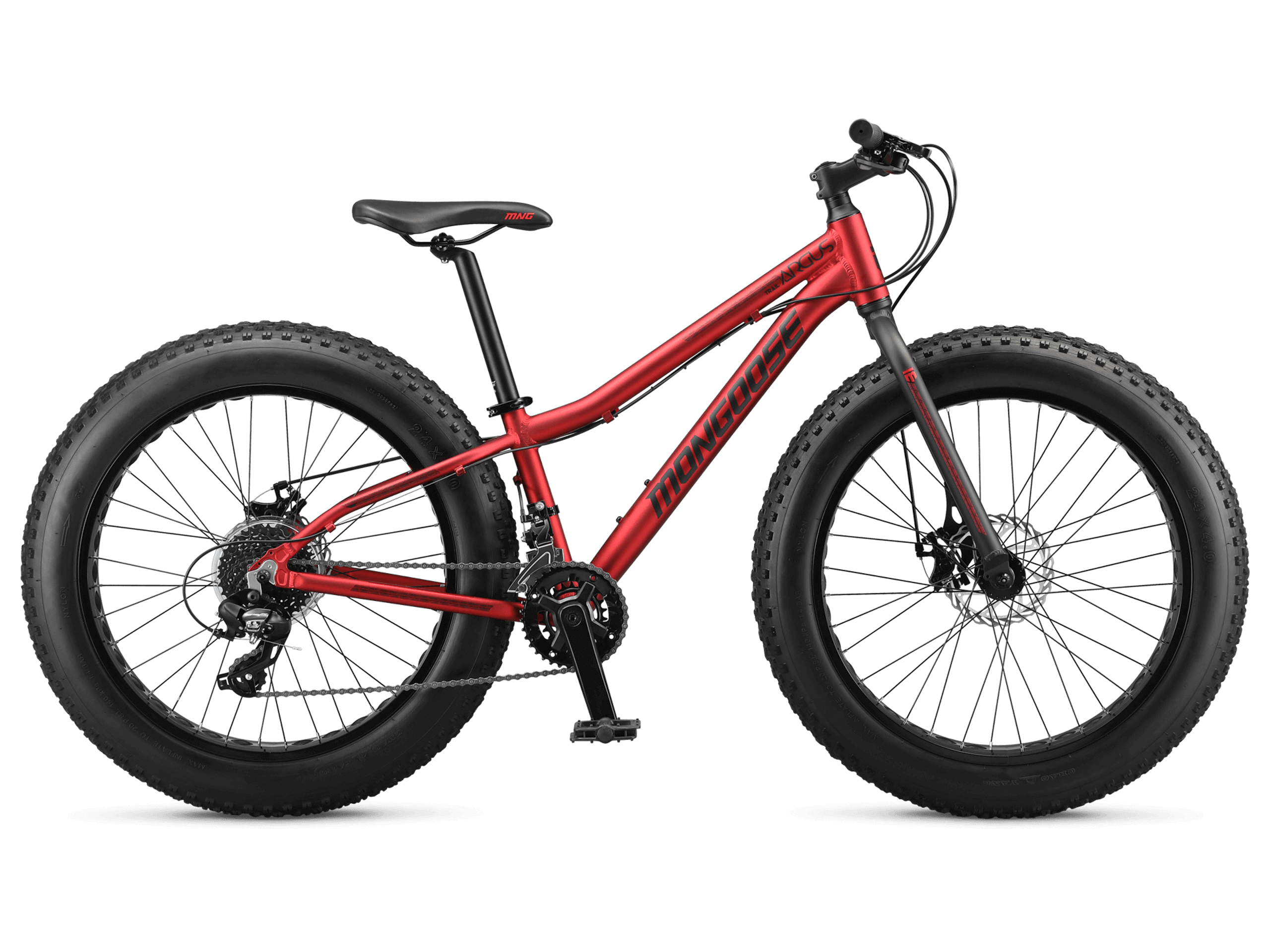 Argus Trail 24in