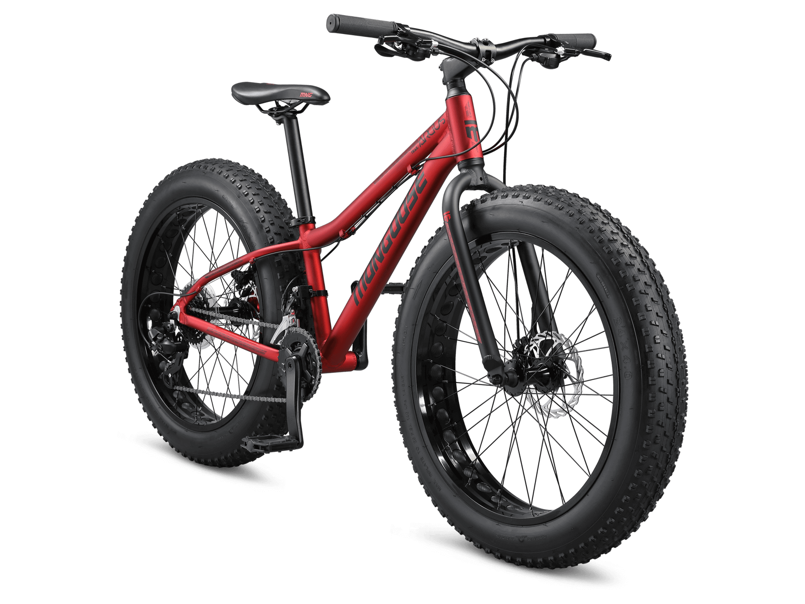 Argus Trail 24in