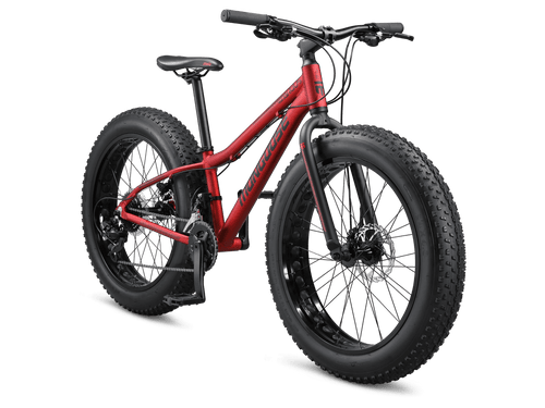 Argus Trail 24in