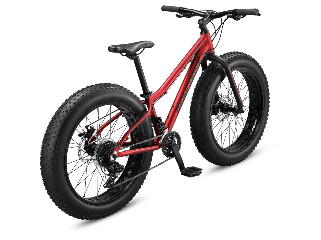 Argus Trail 24in