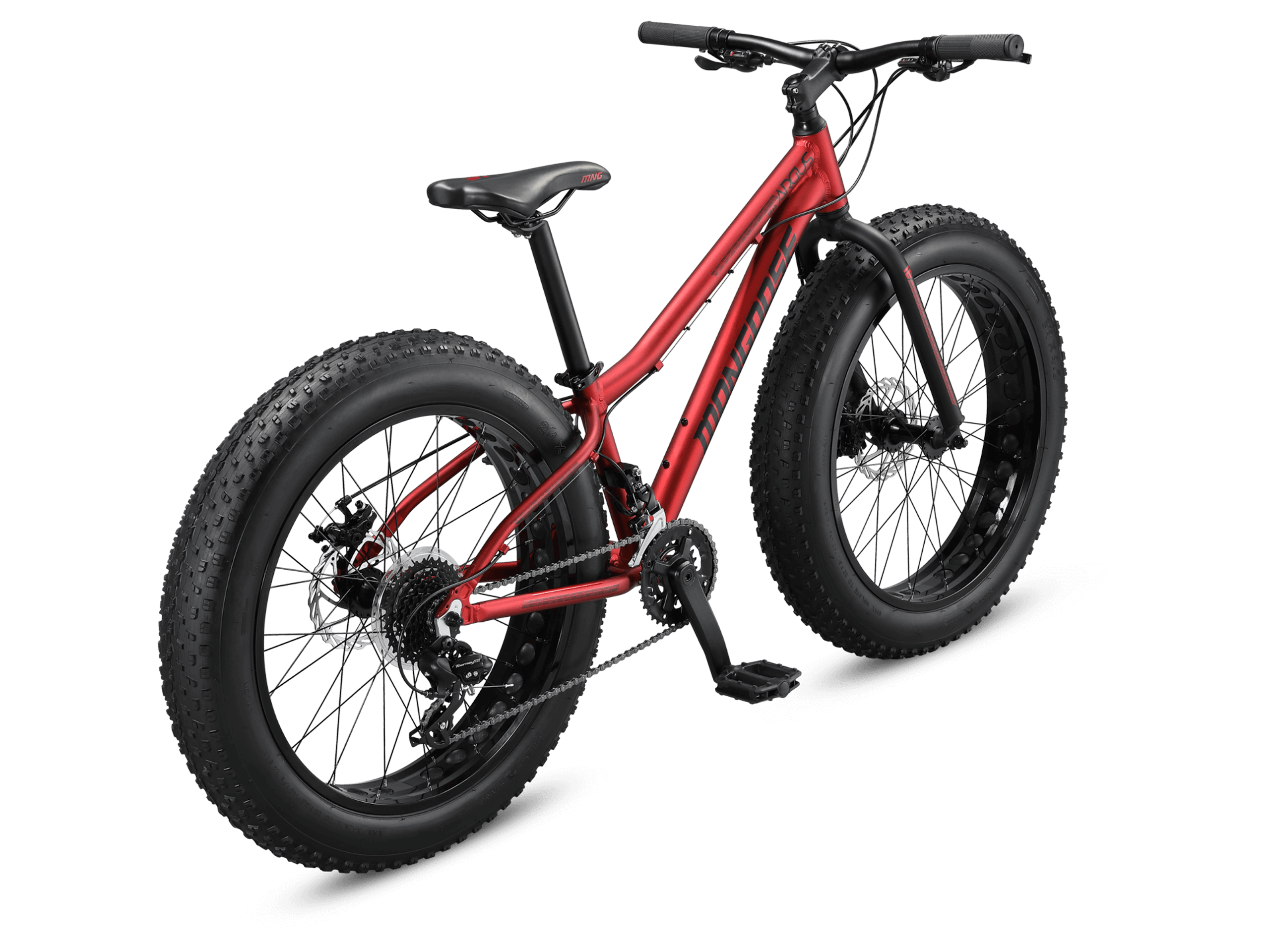 Argus Trail 24in
