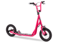 Expo Scooter