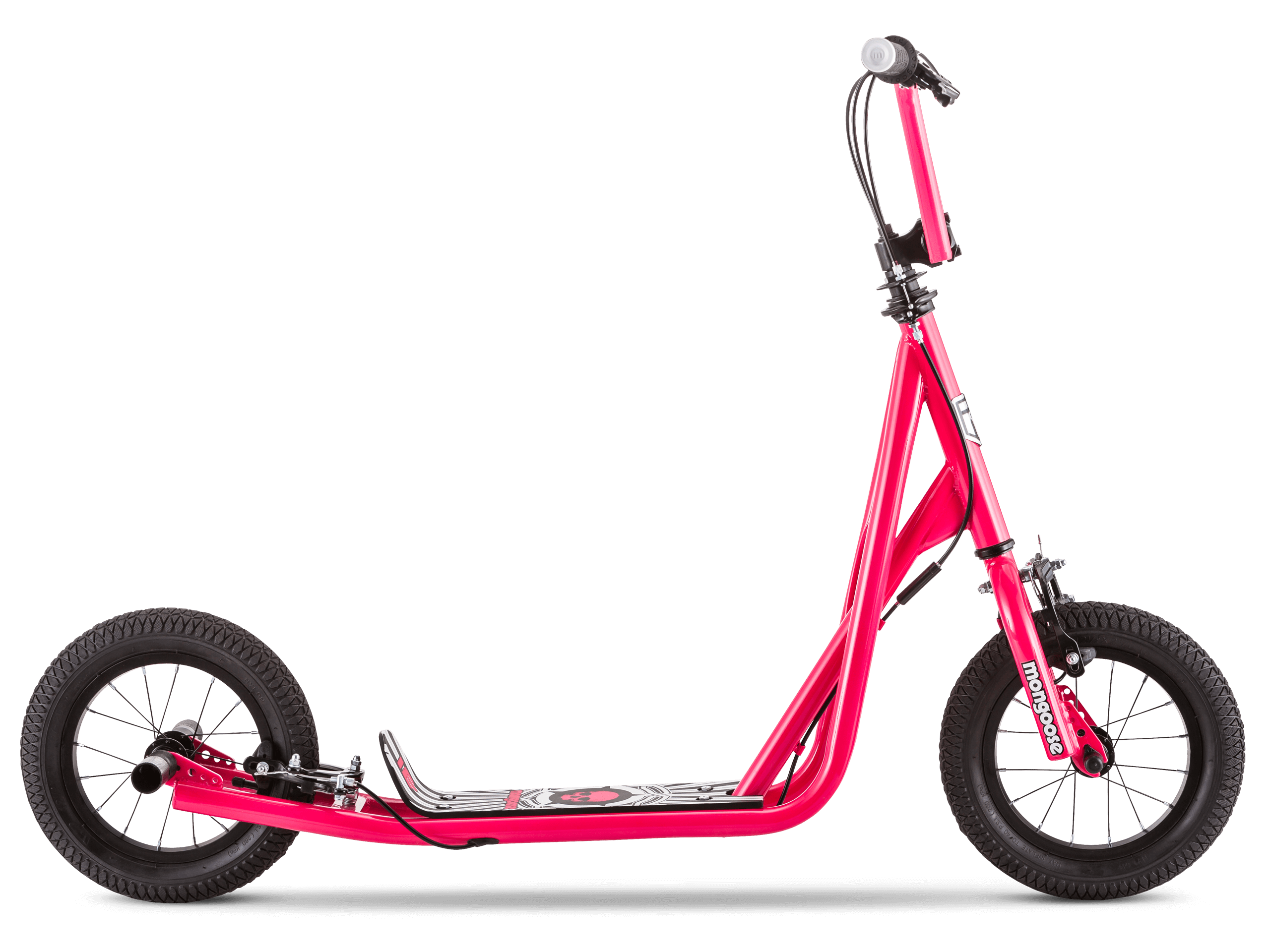Expo Scooter